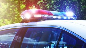 Задържаха шофьор избягал от проверка в Плевенско съобщиха от полицията