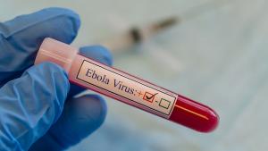Три кандидат ваксини срещу щама на ебола който опустошава Уганда ще