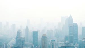 Замърсяването с фини прахови частици е причинило 238 000 преждевременни