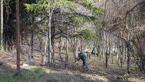 парк Загорка