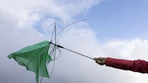Предупреждение за силен вятър обяви националната метеорология за събота 21