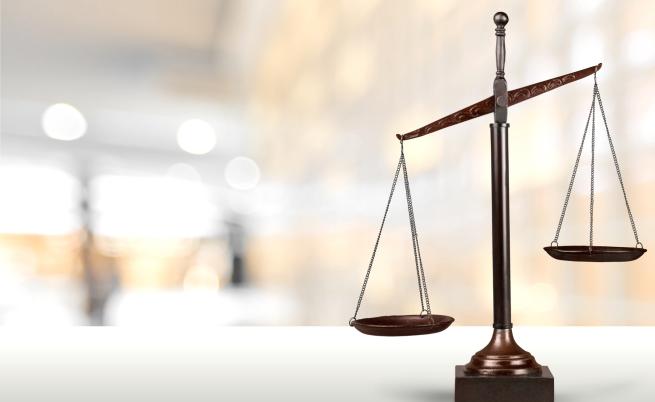 Глобиха собственика на изоставените в Осоговската планина коне