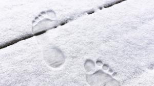 сняг стъпки