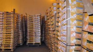 Специализираната прокуратура предаде на съд обвинените за участие в група