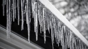 ледени висулки