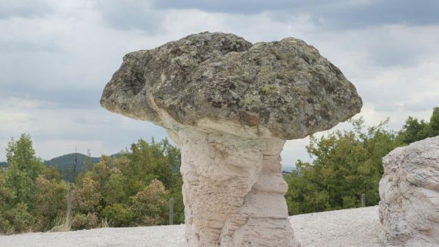 Чудесата на природата: Каменните гъби - изваяни в продължение на хилядолетия (СНИМКИ)