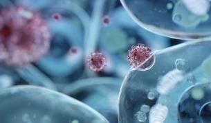 COVID-19: Голям брой заразени и починали