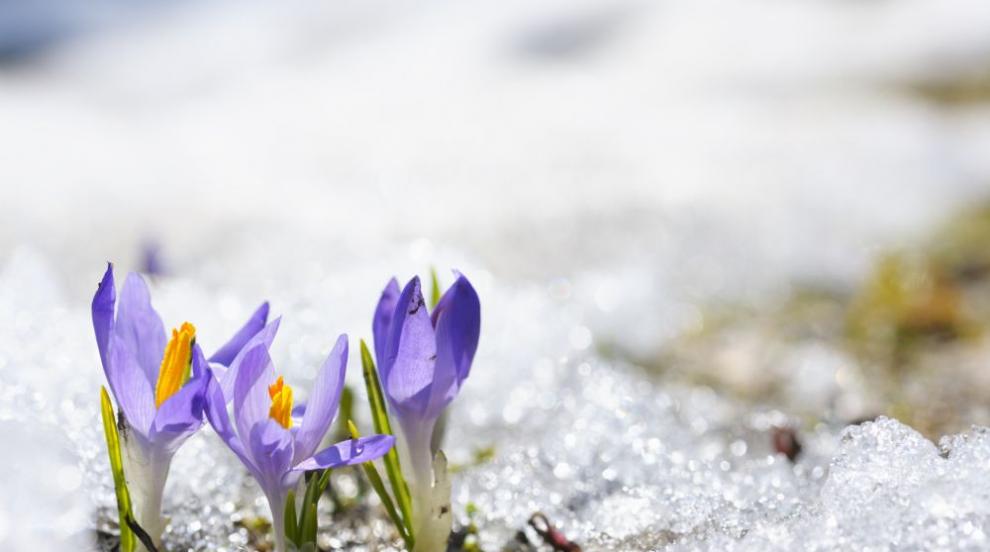 Времето се влошава: Дъжд, сняг в планините и спад на температурите