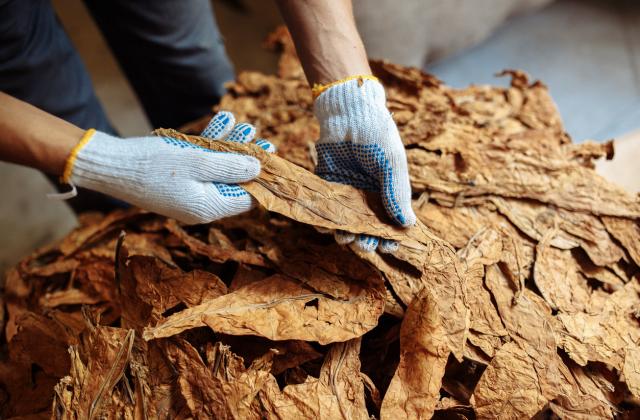 Кодексът на труда е създал възможността работодателите да сключват трудов