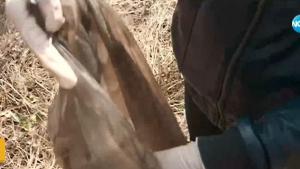 деца почистване Златишки проход