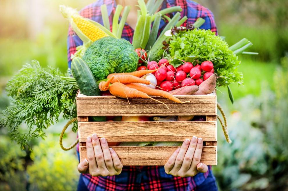 Три порции зеленчуци и 2 порции плодове на ден носят най-голяма полза за здравето