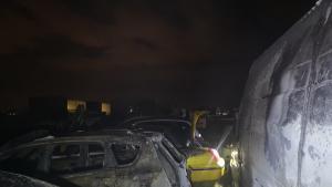 палеж коли Пловдив