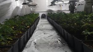 нарколаборатория