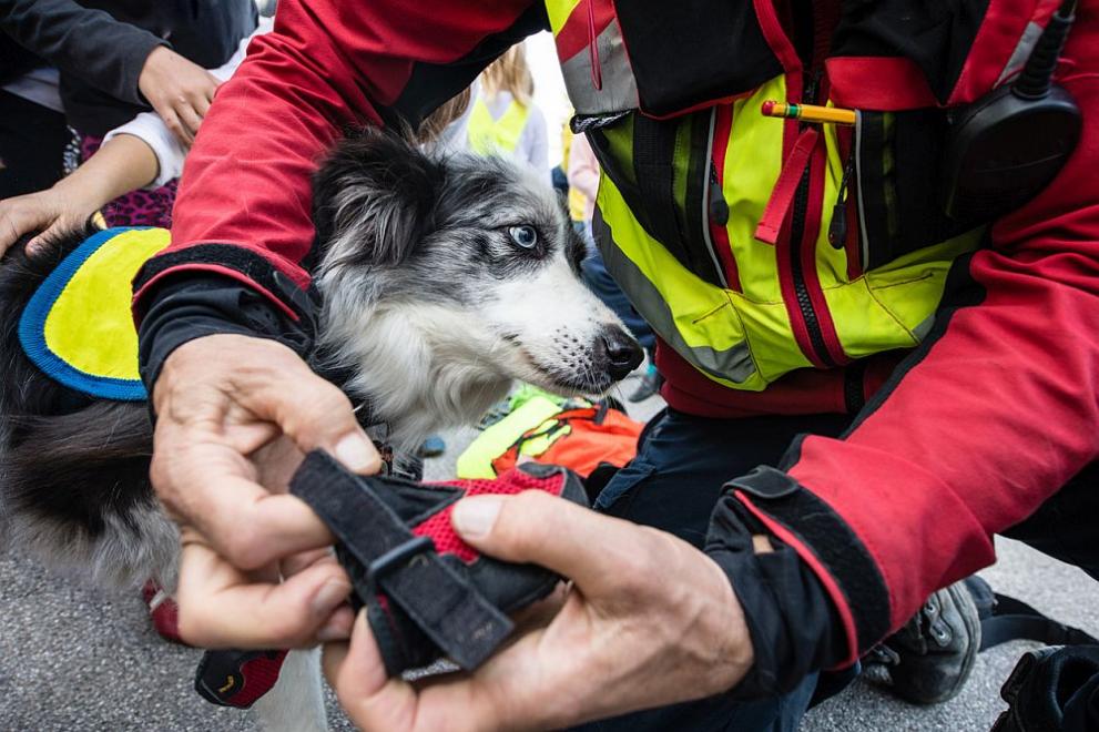 куче пожарникар