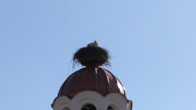 „Св. Петка“ - един храм без кръст, но със семейство щъркели върху купола (СНИМКИ)