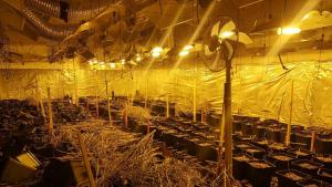 лаборатория марихуана Пловдив