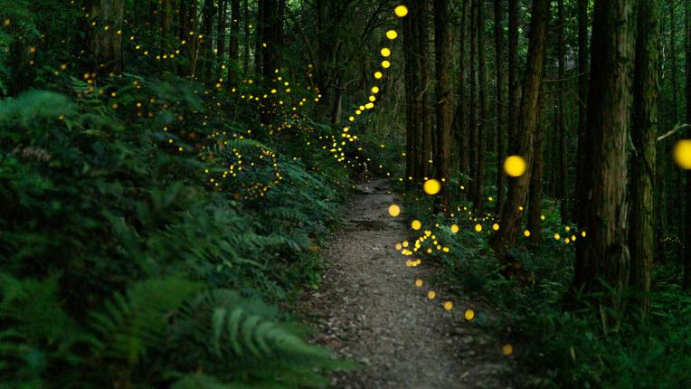  Ноември идва: ето кои ще са най-магичните му дни 