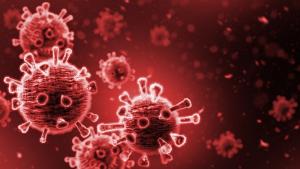 Петнадесет нови случая на коронавирус са били регистрирани през последното