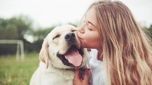 Кучетата показват по голяма чувствителност на мозъка към речта насочена