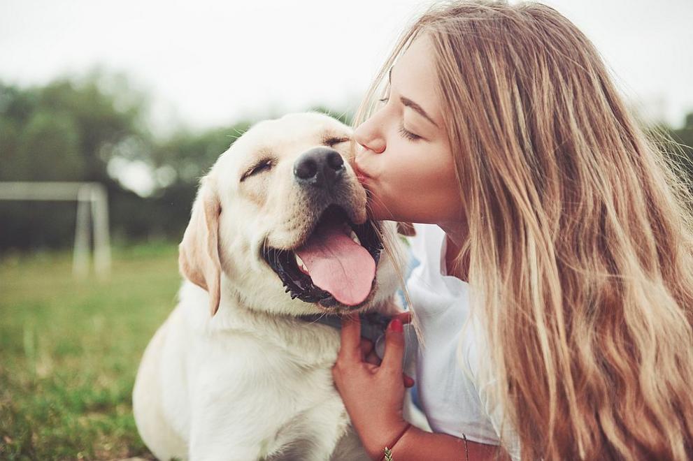 Кучетата показват по-голяма чувствителност на мозъка към речта, насочена към