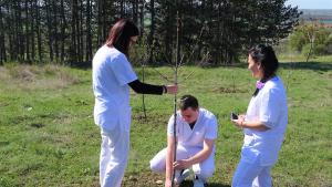 залесяване