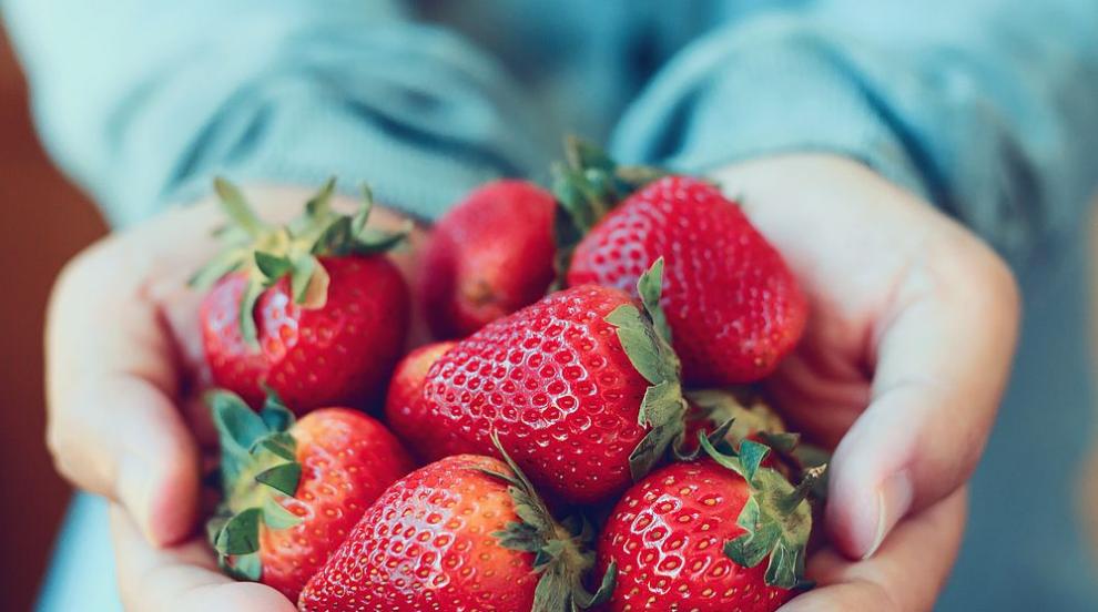 Ягодите помагат в борбата срещу рака и високия холестерол