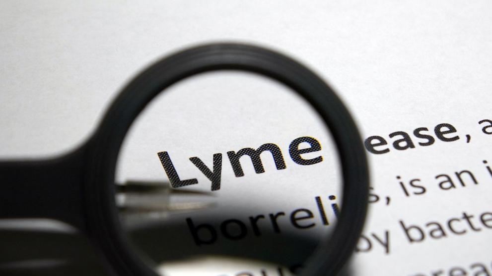 В Хасково регистрираха първия случай на лаймска болест за годината.