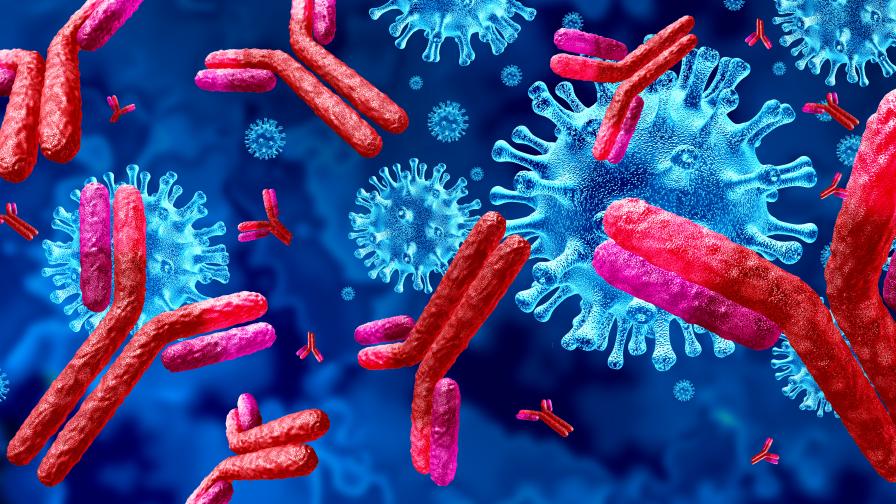 Коронавирусът: Кога се прави тест за антитела