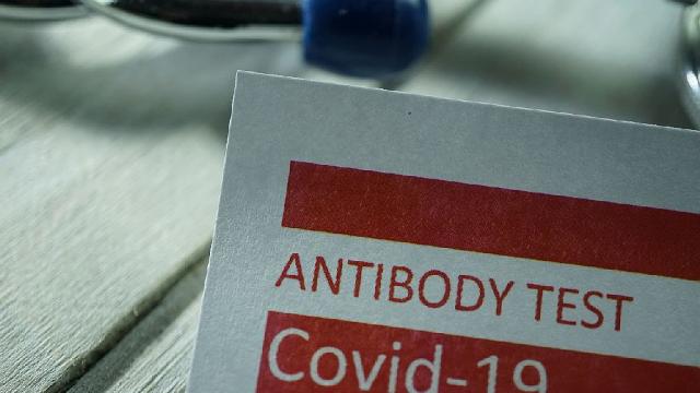 Aнтителата след COVID-19 могат да циркулират в кръвта до 500 дни