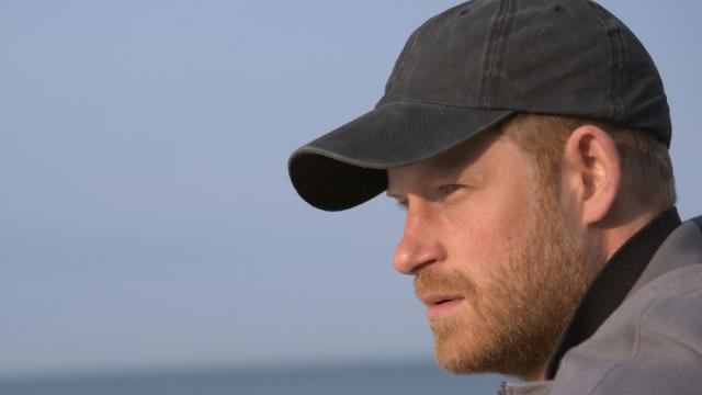 Тази красавица ли е отнела девствеността на принц Хари