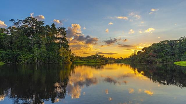 Сушата в река Амазонка разкри човешки лица, издълбани в камъните