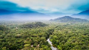 Река Амазонка която се счита за най голямата като дължина площ