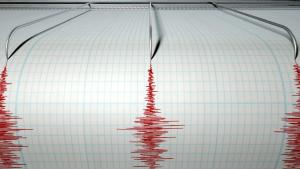 Земетресение с магнитуд 5 по Рихтер разтърси в около 21 35