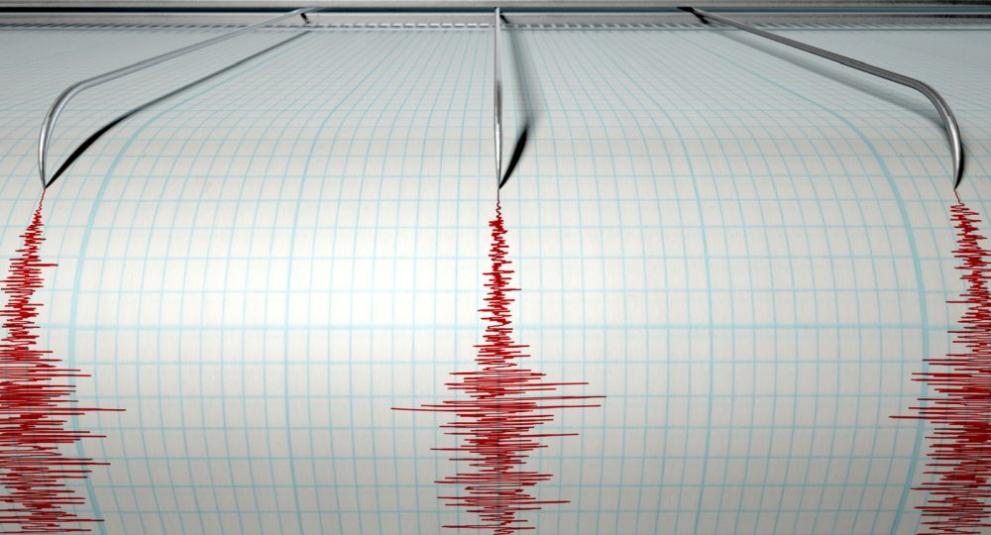 Земетресение с магнитуд 5 по Рихтер разтърси в около 21.35