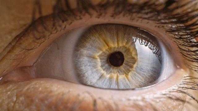 Учени отпечатват персонализирани очни роговици на 3D принтер