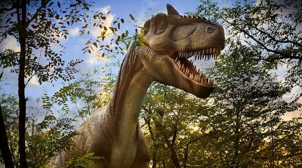 Откриха находки на динозаври край Трън (СНИМКИ)