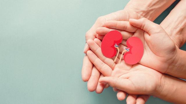 Четири плода за здрави бъбреци