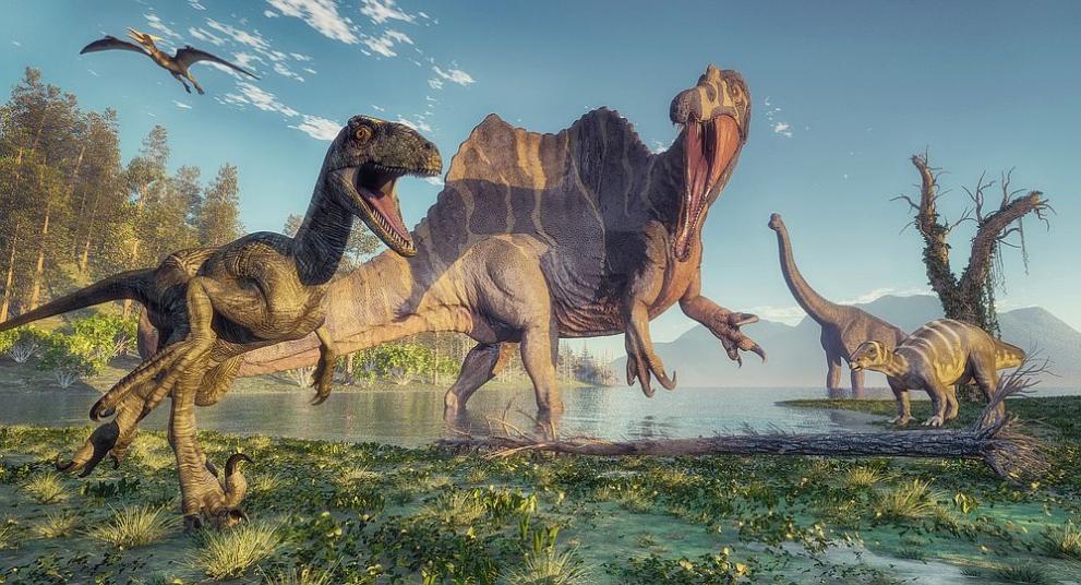 Учени откриха повече от 250 фосилизирани яйца на титанозаври, едни