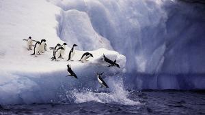 Кипърска експедиция ще бъде на Антарктида на 25 декември където