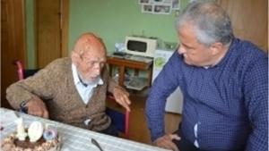 столетник