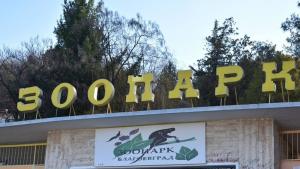 Открити са няколко мъртви животни в Зоопарк Благоевград   Община
