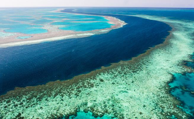 ЮНЕСКО иска Големият бариерен риф да бъде обявен за застрашен, но Австралия възразява