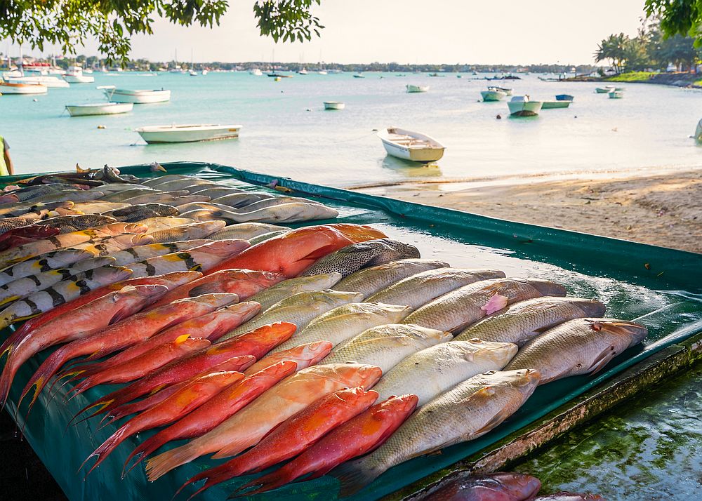 С богат риболовен район като Индийския океан, не е чудно, че Мавриций е известен със своите морски дарове.