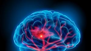 Учени работещи в сферата на неврологията показаха как мозъчни клетки