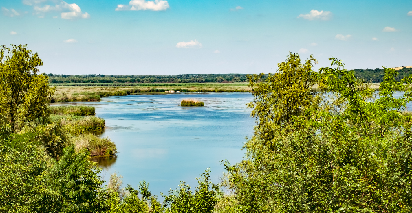 <p><strong>Резерват край с. Сребърна</strong>&nbsp;- разположен е на 2 км южно от река Дунав и на 16 км западно от Силистра. Обхваща езерото Сребърна и териториите край него. Намира се точно на пътя на прелетните птици от Европа към Африка &ndash; Via Pontica, в него има&nbsp;уникални&nbsp;и разнообразни видове водоплаващи птици.</p>