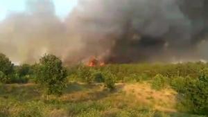 Големият пожар в Източна Сакар планина на територията на общините