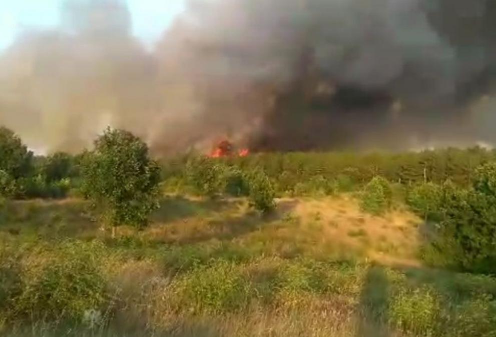 Големият пожар в Източна Сакар планина на територията на общините