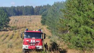Свиленград Сакар планина пожар