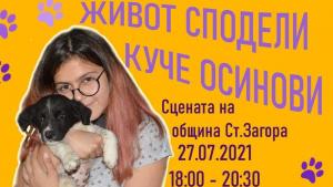 осиновяване кучета