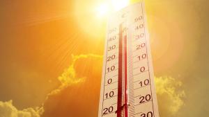 Рекордно висока температура от 41 2 градуса Целзий е била измерена